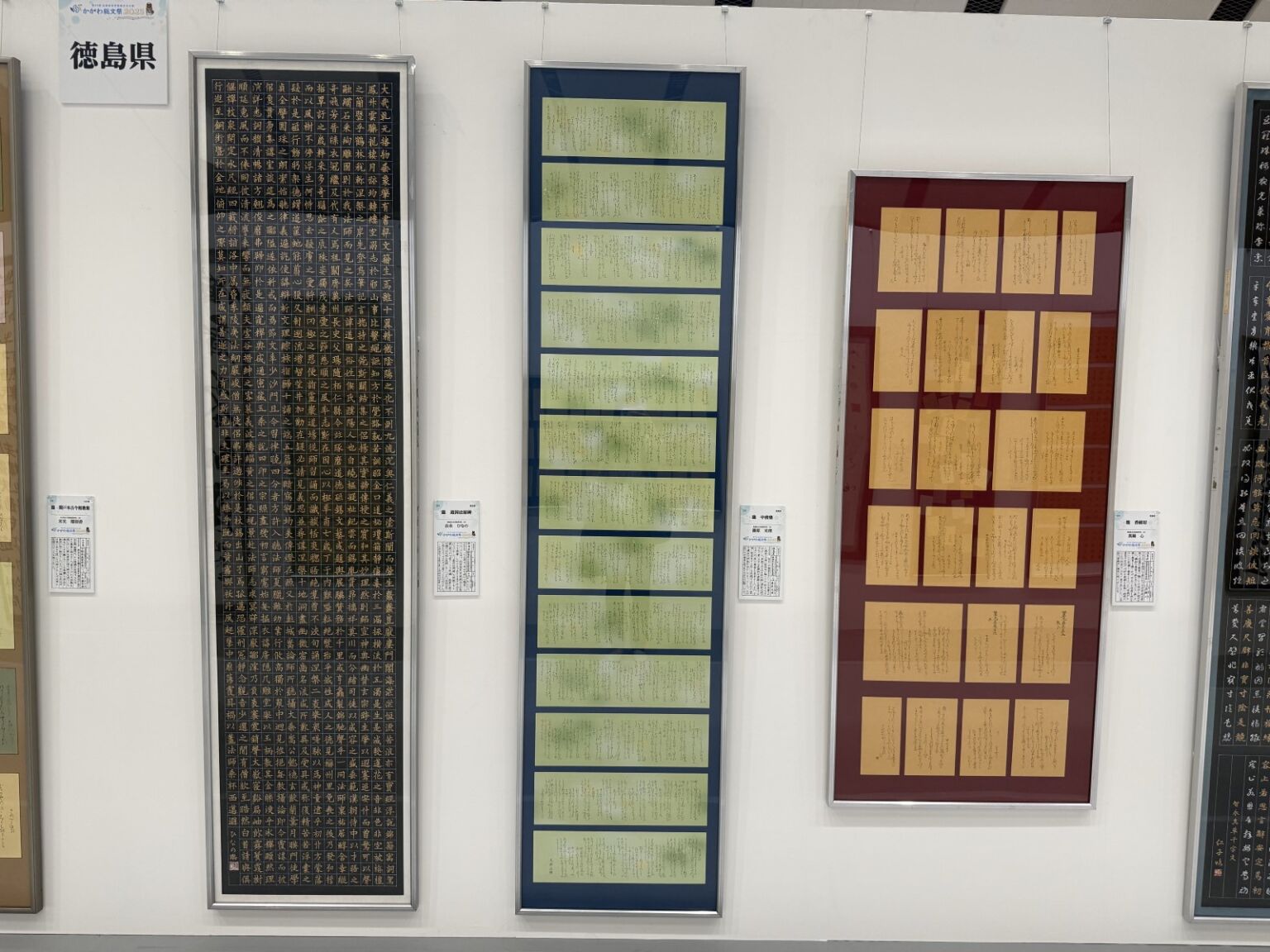 00d51021-599a-440b-b9bd-b495b72f2b70