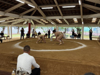 IMG_5255