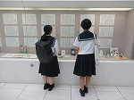 IMG_4152