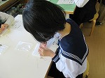 IMG_4155